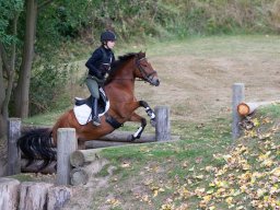 IMG_8262_web